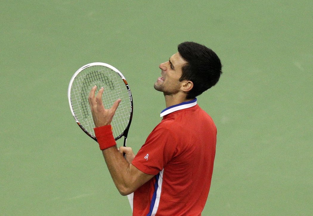 Novak Djokovič v utkání s Tomášem Berdychem při finále Davis Cupu
