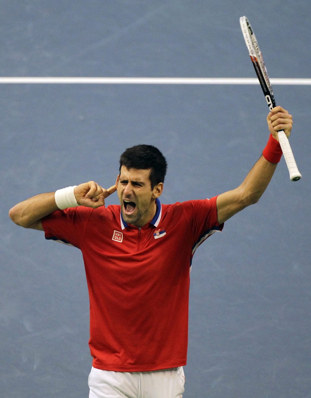 Djokovič se v utkání s Berdychem dostal do obrovské euforie, když ve finále Davis Cupu vyhrál klíčový druhý set