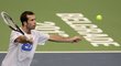 Radek Štěpánek před finále Davis Cupu se Srbskem na tréninku piloval i hru na síti