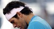 Juan Martin Del Potro na Nadala nestačil, Davis Cup vyhrálo Španělsko
