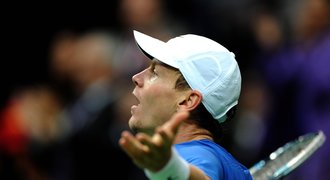 Duch Davis Cupu kolem Berdycha trvá, po Ferrerovi může přijít Almagro