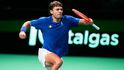 Italové porazili Španělsko a ovládli Davis Cup