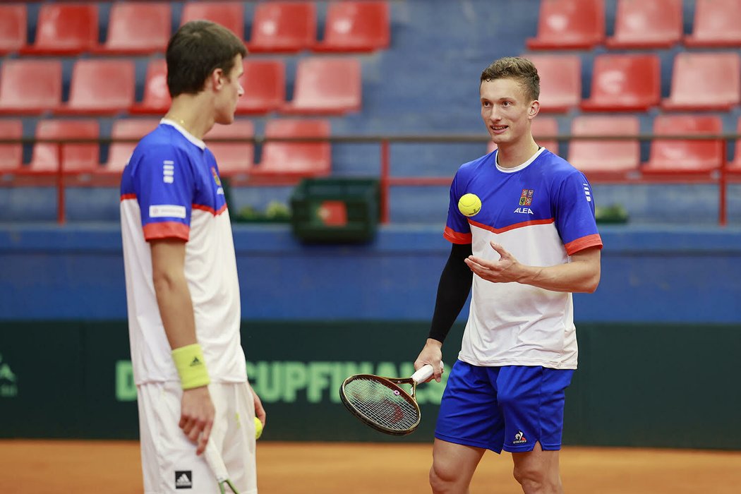 Čeští tenisté v Davis Cupu