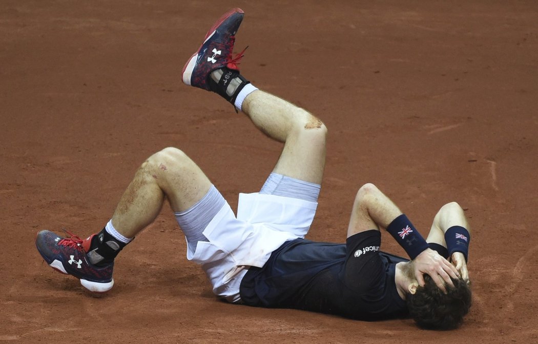 Andy Murray se raduje po výhře ve finále Davis Cupu