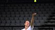 Tomáš Berdych si v pražské O2 Areně vyzkoušel před finále Davis Cupu i servis