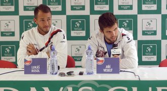 Tenisové derby na Slovensku. Davis Cup zahájí Veselý, po něm půjde Rosol