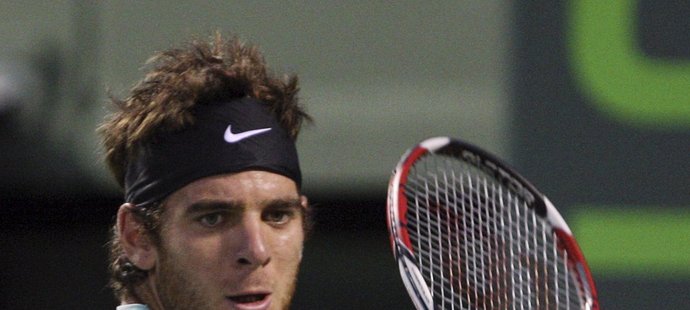 Juan Martin del Potro