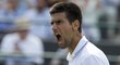 Srbský tenista Novak Djokovic je v semifinále Wimbledonu. A pokud vyhraje ještě alespoň jedno utkání, stane se jistě světovou jedničkou.