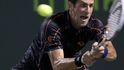 Djokovič vyhrál třiačtyřicátý zápas v řadě
