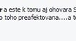 Takhle na facebooku píše komentátor Tomáš Daniš o Dominice Cibulkové