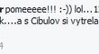 Takhle na facebooku píše komentátor Tomáš Daniš o Dominice Cibulkové