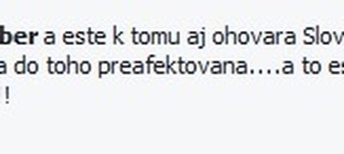 Takhle na facebooku píše komentátor Tomáš Daniš o Dominice Cibulkové