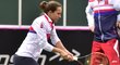 Barbora Strýcová na tréninku před fedcupovým duelem proti Švýcarsku