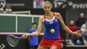 Karolína Plíšková se v úvodním zápase s Rumunskem bleskově vypořádala s Mihaelou Buzarnescuovou