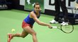 Barbora Strýcová v zápase Fed Cupu proti Španělce Garbiňe Muguruzaové