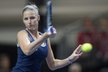 Karolína Plíšková v zápase proti Švýcarce Golubicové v semifinále Fed Cupu