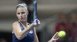 Karolína Plíšková v zápase proti Švýcarce Golubicové v semifinále Fed Cupu