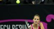 Česká tenistka Karolína Plíšková se sice snažila, ale na ruskou jedničku Marii Šarapovovou nestačila. Stav finále Fed Cupu je 1:1.