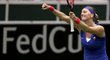 Petra Kvitová slaví výhru s Caroline Garciaovou, která znamenala postup do finále Fed Cupu