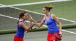 Barbora Strýcová ani Karolína Plíšková Česko v semifinále Fed Cupu v USA reprezentovat nebudou