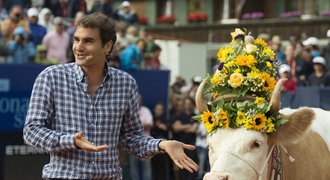 Tahle kráva stála za to! Federerova dojnice vydělala 84 tisíc na charitu