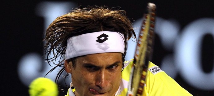 Ferrer dopomohl Španělsku do semifinále Davis Cupu.