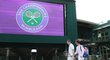 Radek Štěpánek s Petrem Čechem ve slavném Wimbledonu, kde už v pondělí vypukne třetí grandslam roku