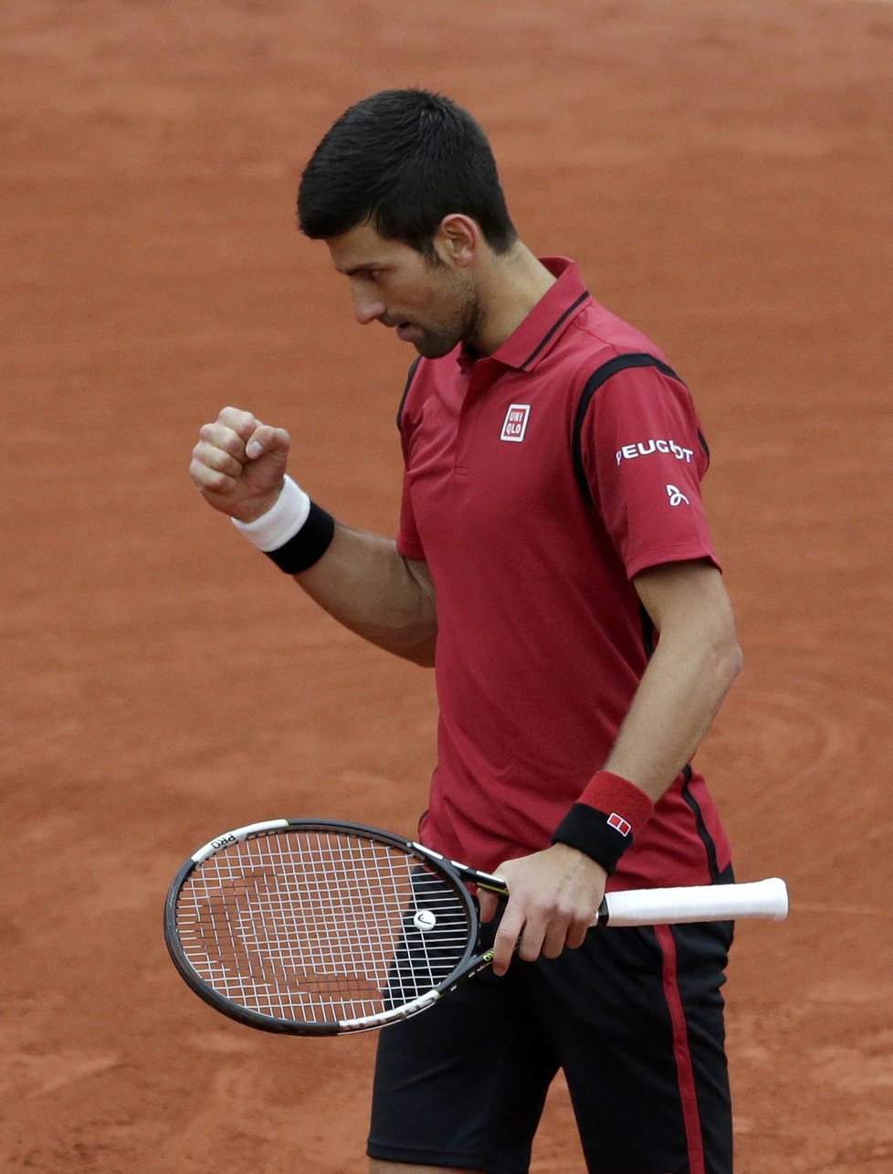 Novak Djokovič se hecuje ve čtvrtfinále French Open s Tomášem Berdychem