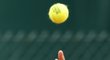 Karolína Plíšková vypadla z prvního kola French Open