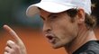 Britský tenista Andy Murray v zápase s Radkem Štěpánkem hodně gestikuloval