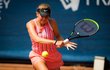 Patnáctiletá Linda Fruhvirtová, jedna z největších nadějí českého tenisu
