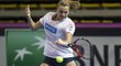 Petra Kvitová dnes nastoupí ve finále Fed Cupu ve Francii proti