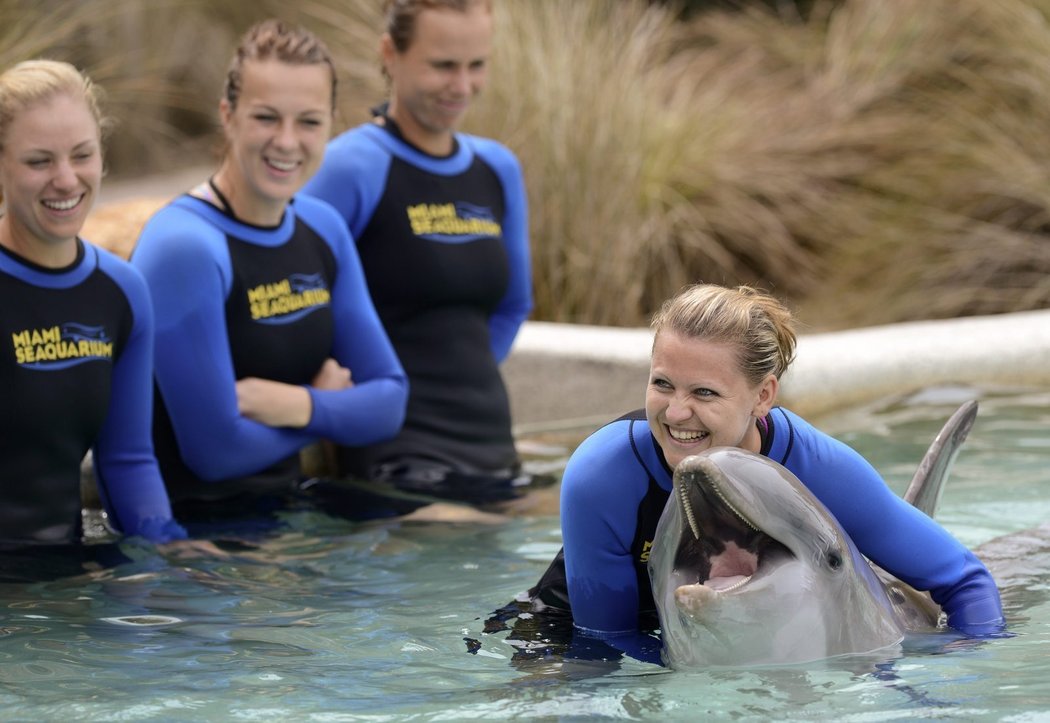 Nejen tenisové kurty, živlem Lucie Šafářové je zjevně i voda. A delfíni se tomu jenom smějí...
