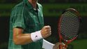Tomáš Berdych se raduje z úspěšného úderu