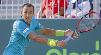 Rosol a Sáfářová na French Open postupují, dohrála Cetkovská