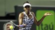 Venus Williamsová zdolala Petru Kvitovou ve třech setech, v tom rozhodujícím jí nadělila kannára