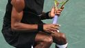 Gael Monfils
