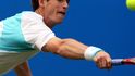 Andy Murray