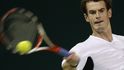 Andy Murray