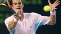 Andy Murray