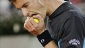 Andy Murray