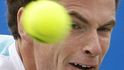 Andy Murray