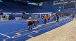 Ostrava aréna se narychlo mění z volejbalové haly  na tenisovou