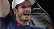 Andy Murray během souboje s Tomášem Berdychem