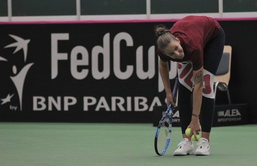 Jak se bude dařit české týmové jedničce pro Fed Cup Karolíně Plíškové? 