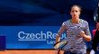 Karolína Plíšková se může stát druhou tenistkou světa