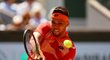 Jiří Veselý trápil v úvodním kole Roland Garros favorita Stefanose Tsitsipase