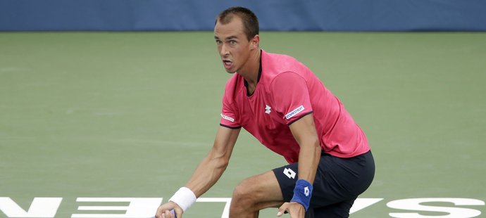 Lukáš Rosol si před US Open zahraje o titul na turnaji ve Winston-Salemu