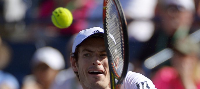 Andy Murray přemýšlí o angažování Švéda Jonase Björkmana