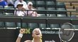 Slavný tenisový turnaj ve Wimbledonu letos bude mít českou finalistku dvouhry. Do svého prvního grandslamového semifinále dnes postoupila Lucie Šafářová po výhře nad Ruskou Jekatěrinou Makarovovou 6:3, 6:1 a příště vyzve buď Petru Kvitovou, nebo Barboru Záhlavovovu-Strýcovou.